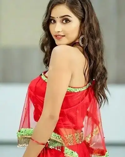 Call Girls Service Sahaswan